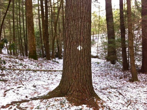 Red River Gorge - 21